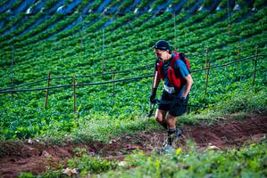 BIB: 
                            <button type="button" onclick="openModal(19159965)" class="btn btn-primary btn-sm float-right btn-popup" data-toggle="modal" data-target=".modal-high-quality">
                        <i class="fas fa-shopping-cart"></i> Add to Cart
                    </button>
                                            <button type="button" onclick="isThisMe(19159965, true)" class="btn btn-success btn-sm float-right btn-popup btn-isme hidden" data-toggle="tooltip" data-placement="bottom" title="นี่คือรูปของคุณใช่ไหม คลิกที่นี่เพื่อเอาเข้าอัลบั้ม">
                        <i class="fas fa-plus"></i> Add to album
                    </button>
                    <button type="button" onclick="isThisMe(19159965, false)" class="btn btn-warning btn-sm float-right btn-popup btn-isnotme hidden">
                        <i class="fas fa-ban"></i> Remove from album
                    </button>